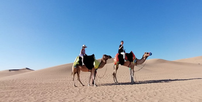 Desert horse riding or camel riding